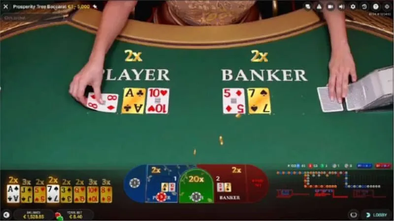 Lợi ích khi chơi Baccarat trên W365