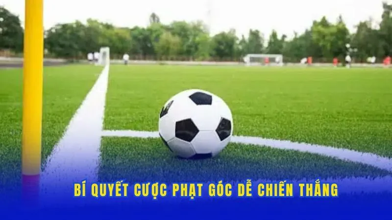 Bí quyết cược phạt góc dễ chiến thắng