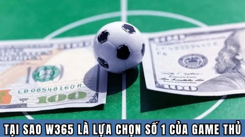Tại sao W365 là lựa chọn số 1 của game thủ
