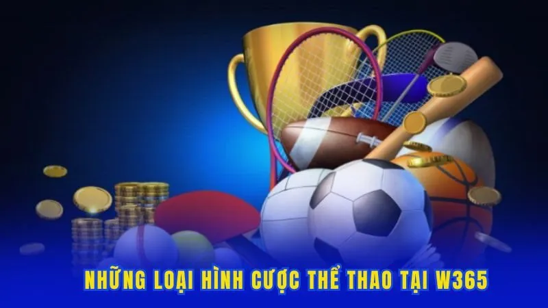 Những loại hình cược thể thao tại W365